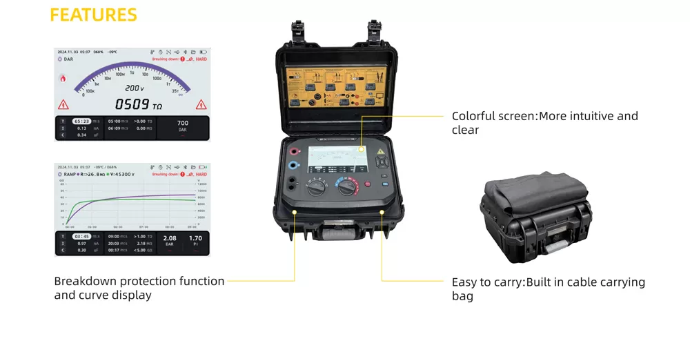 Features of D1110 High-Voltage Insulation Tester Features of D1110 High-Voltage Insulation Tester